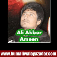http://ishqehaider.blogspot.com/2013/11/ali-akbar-ameen-nohay-2014.html