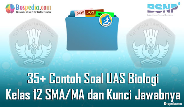 35+ Contoh Soal UAS Biologi Kelas 12 SMA/MA dan Kunci Jawabnya Terbaru