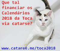 Que tal financiar os calendários da Toca?