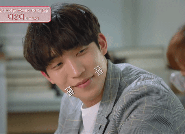 OblongKindlyGermanspitz-size_restricted.