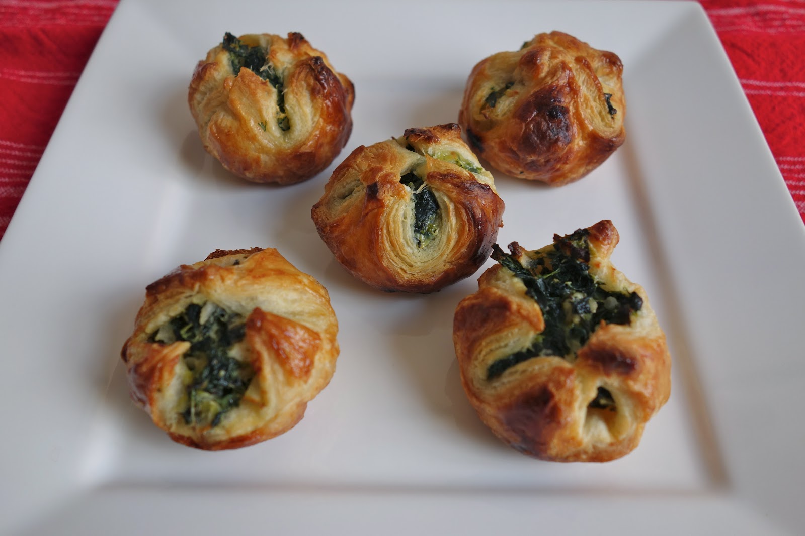 solo stove bonfire how to use