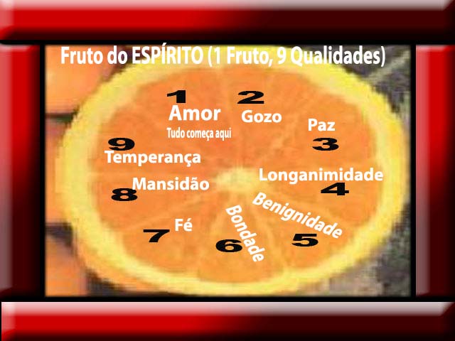 Sombra do Onipotente: O FRUTO DO ESPÍRITO SANTO