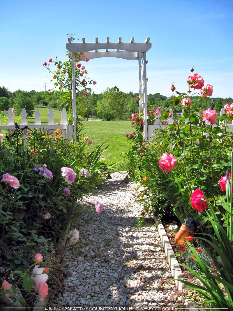 Suddenly Southern : The Farmhouse Garden