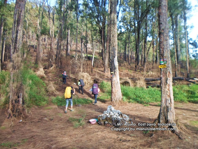 Pendakian Gunung Arjuno via Purwosari