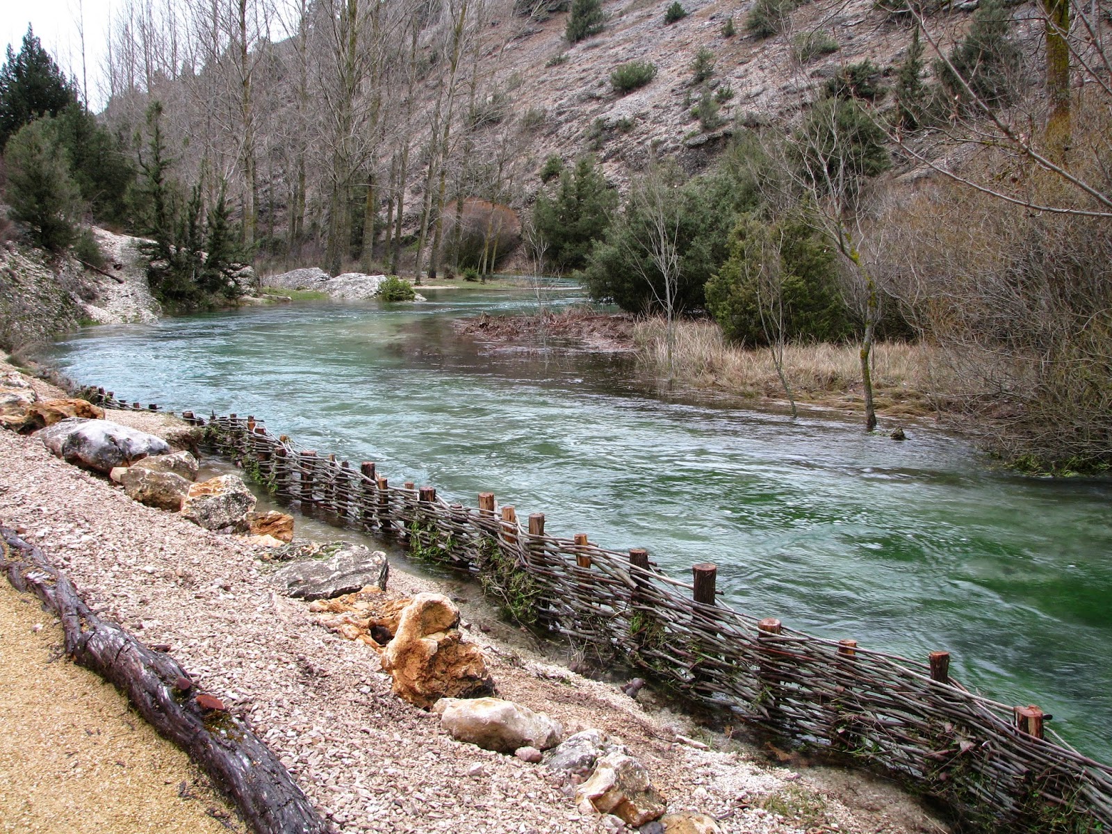 EL NIDO DE PINARES MONUMENTO NATURAL DE LA FUENTONA