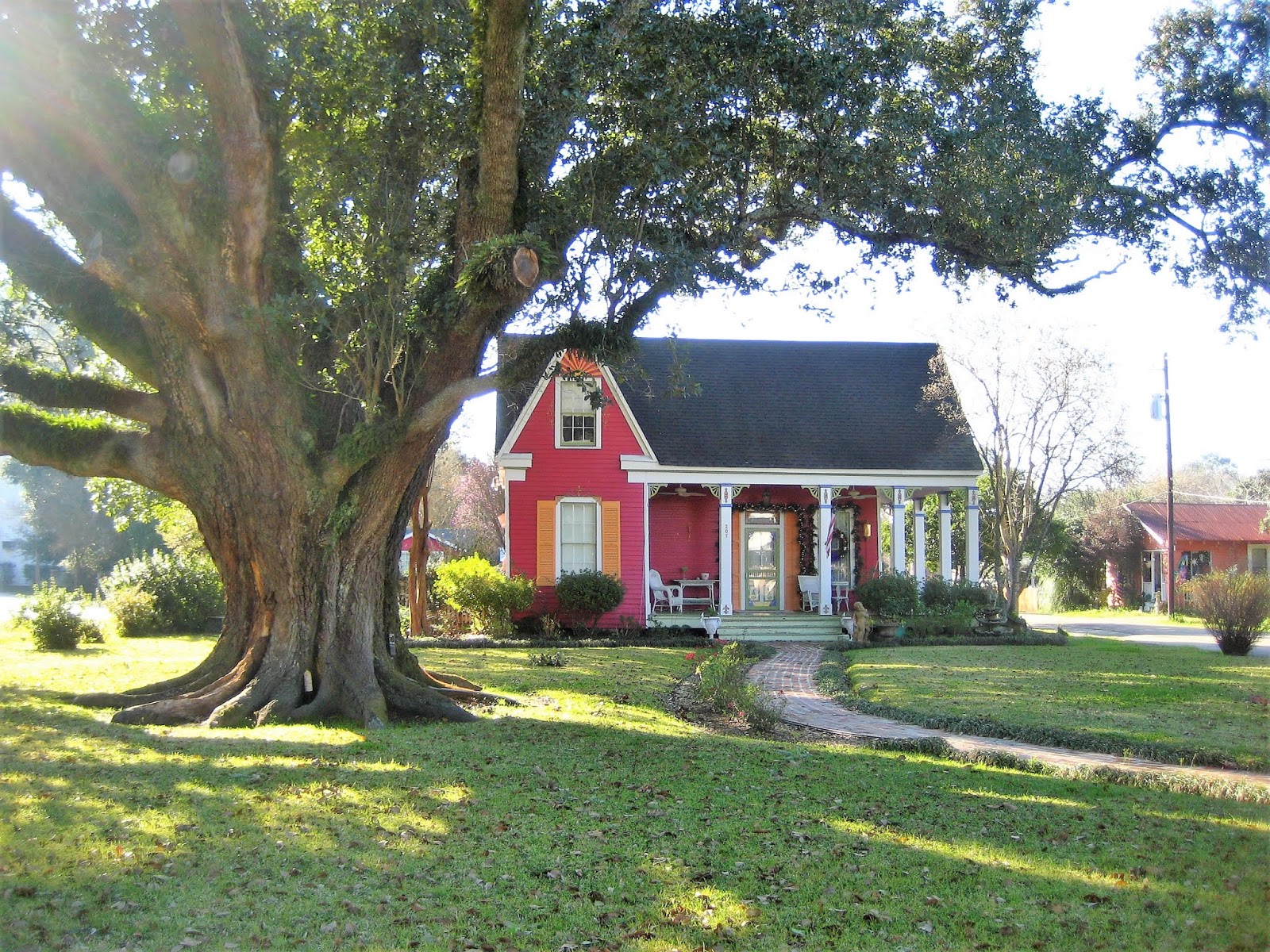 Living Rootless Louisiana Loose End New Roads and In Memorium