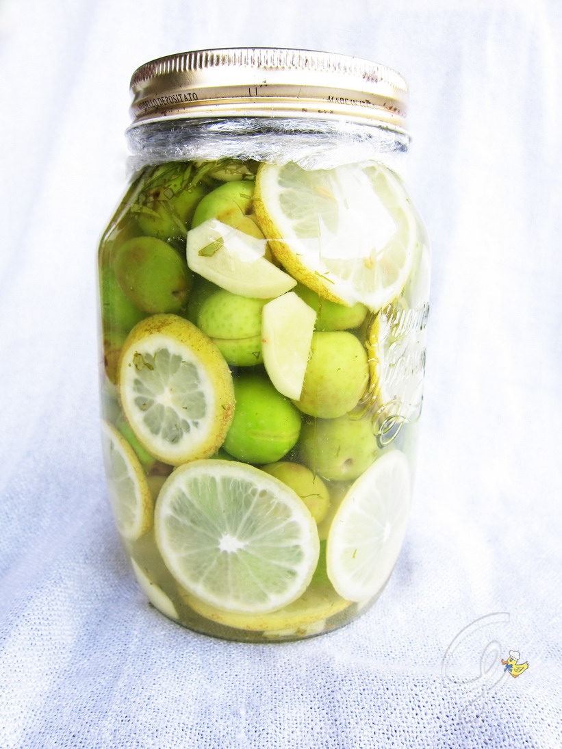 Gialla tra i fornelli: Olive in salamoia con zenzero, limone e menta per la  settimana gialla #8 all'insegna della tranquillità