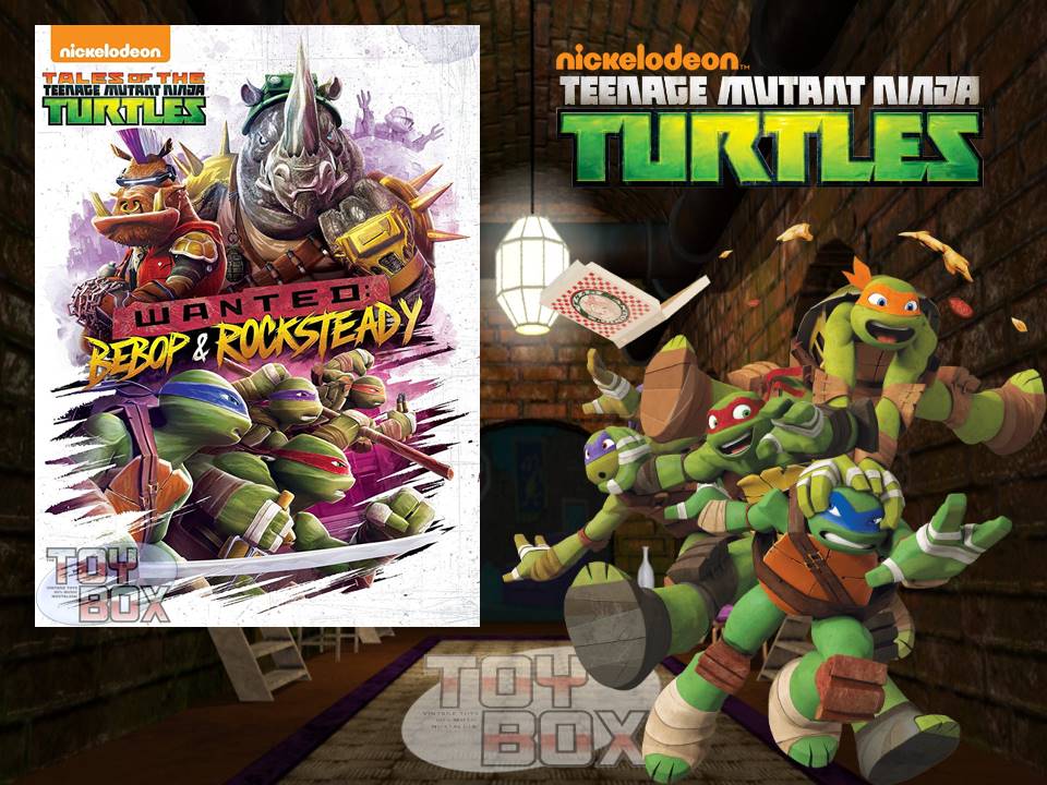 The Toy Box: Nickelodeon Teenage Mutant Ninja Turtles DVD's...Or Which  Order To Watch Them