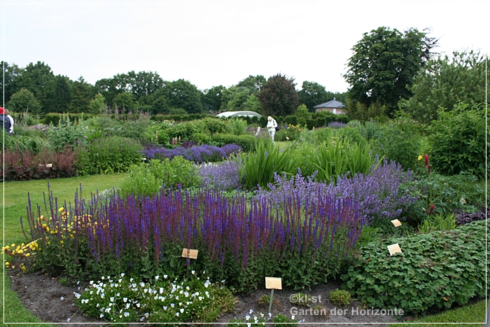 kleinerstaudengarten Garten der Horizonte