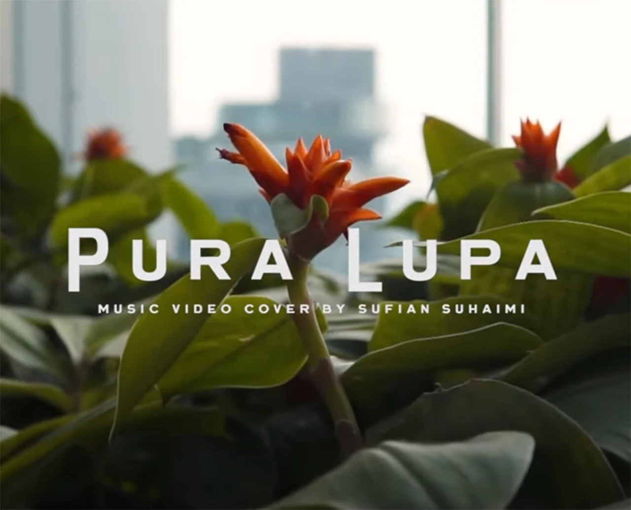 Pura-Pura Lupa