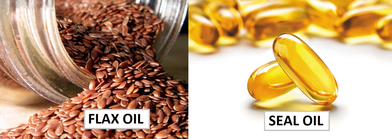 The Power of Harp Seal Oil Flax Oil vs Seal Oil
