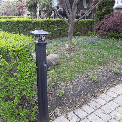 Seaton Village Toronto Front Garden Makeover Before by Paul Jung Gardening Services--a Toronto Organic Garden Company