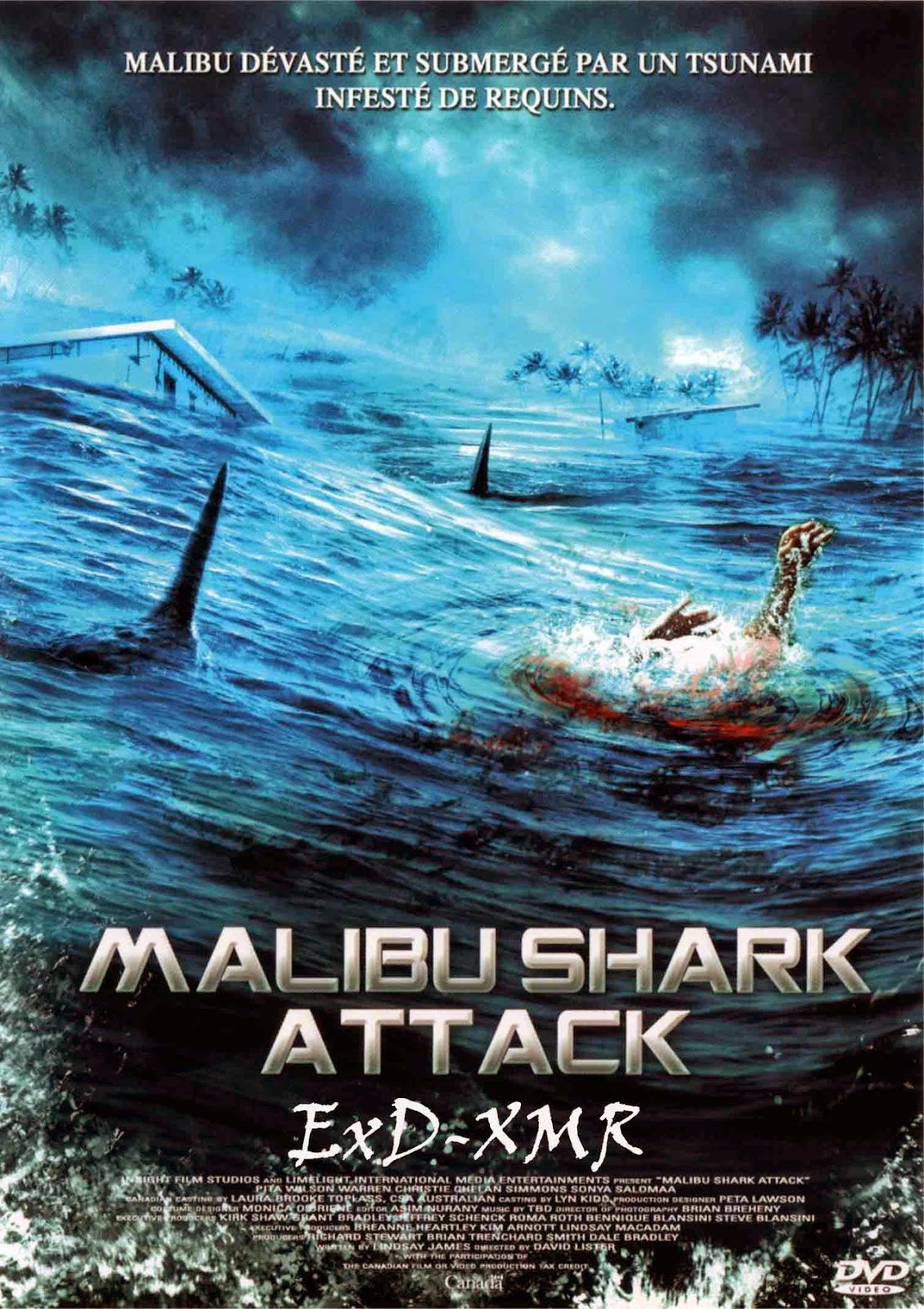 torrent mac shark torrent mac shark