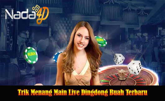 Trik Menang Main Live Dingdong Buah Terbaru