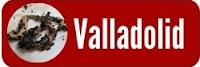 Comprar lombrices rojas californianas en Valladolid, España