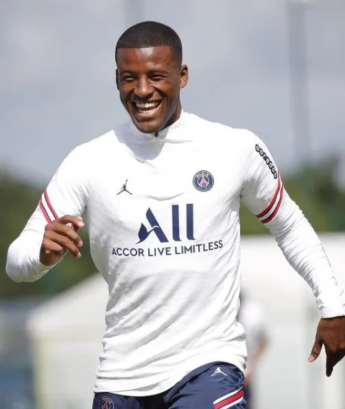 Georginio Wijnaldum Biography Age Stats Fifa Wiki More Wikistarbio