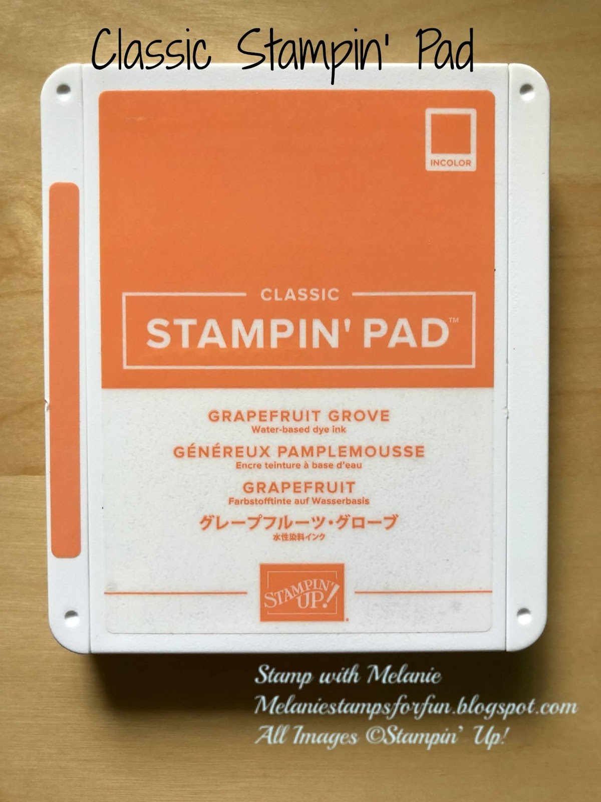 Stamp With Melanie Tips and Tricks For The New Stamp Pads and Cases