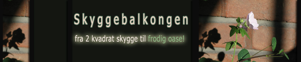 Skyggebalkongen