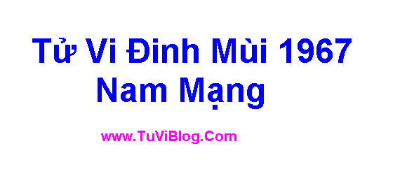 Tu Vi Dinh Mui 1967 Nam Mang