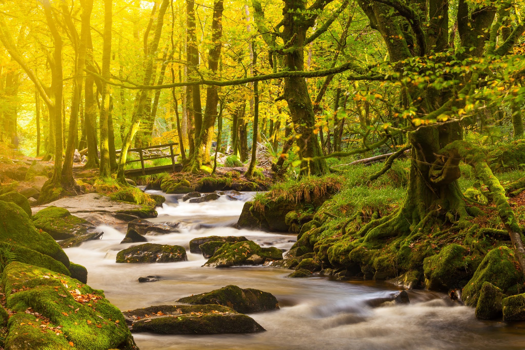 Golitha Falls