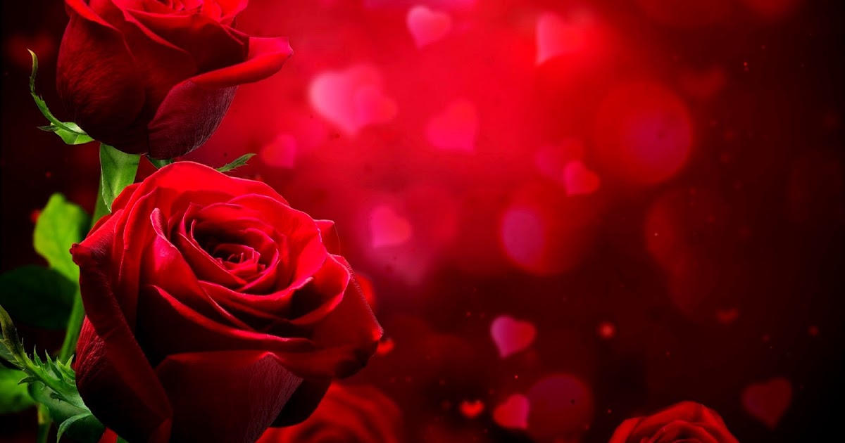 صورخلفيات 2020 حب صور حب ,أجمل صور حب وغرام جميلة ,احلى