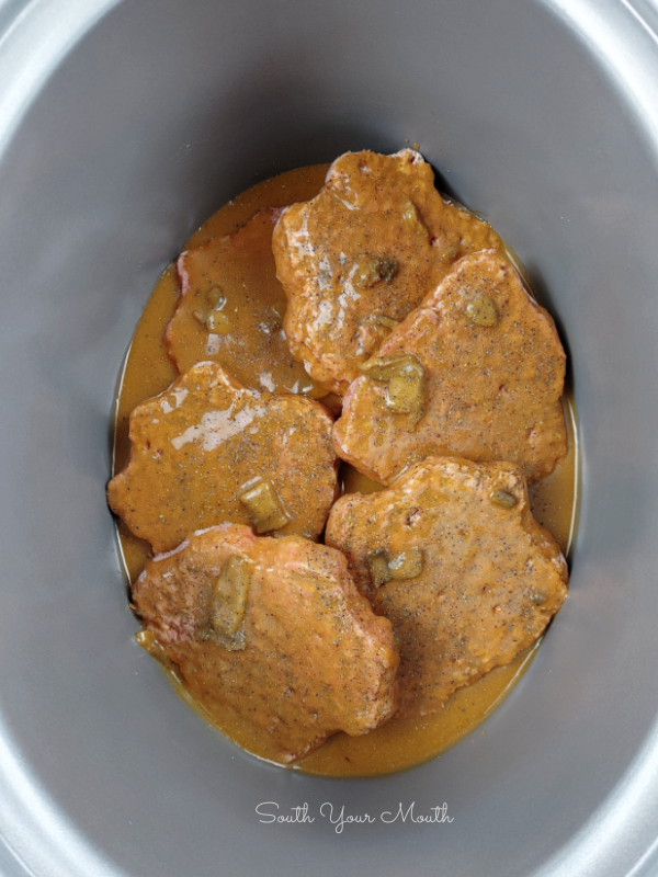 South Your Mouth Shortcut Crock Pot Hamburger Steaks and Gravy