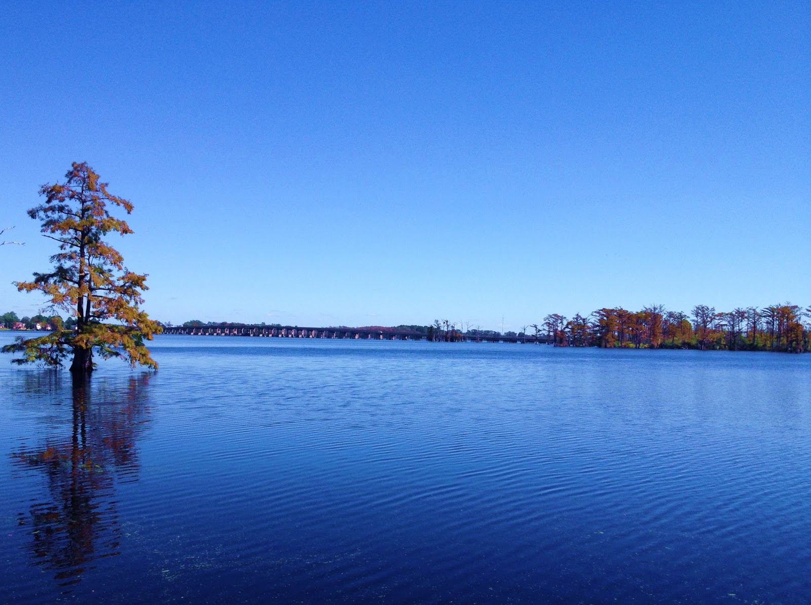 Hidden Wonders in Perquimans County By Colleen Brown Albemarle Tradewinds