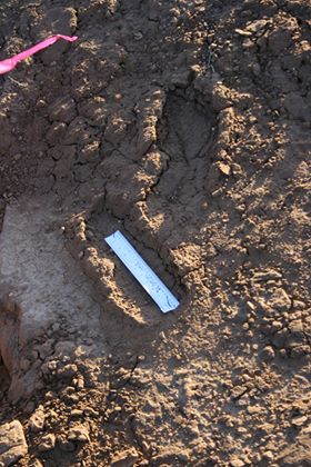 70646363 376886179649766 6939209764853252096 n Episodios paranormales, luces extrañas y todo tipo de eventos inusuales sucedieron en el Rancho Skinwalker según un ex trabajador que estuvo en el lugar entre los años 2010 y 2016