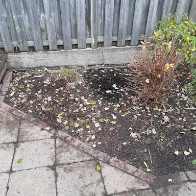 Little Portugal Toronto Fall Cleanup After by Paul Jung Gardening Services--a Toronto Organic Gardener