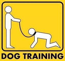 YES I AM TOP -BOSS AND DOG TRAINING
