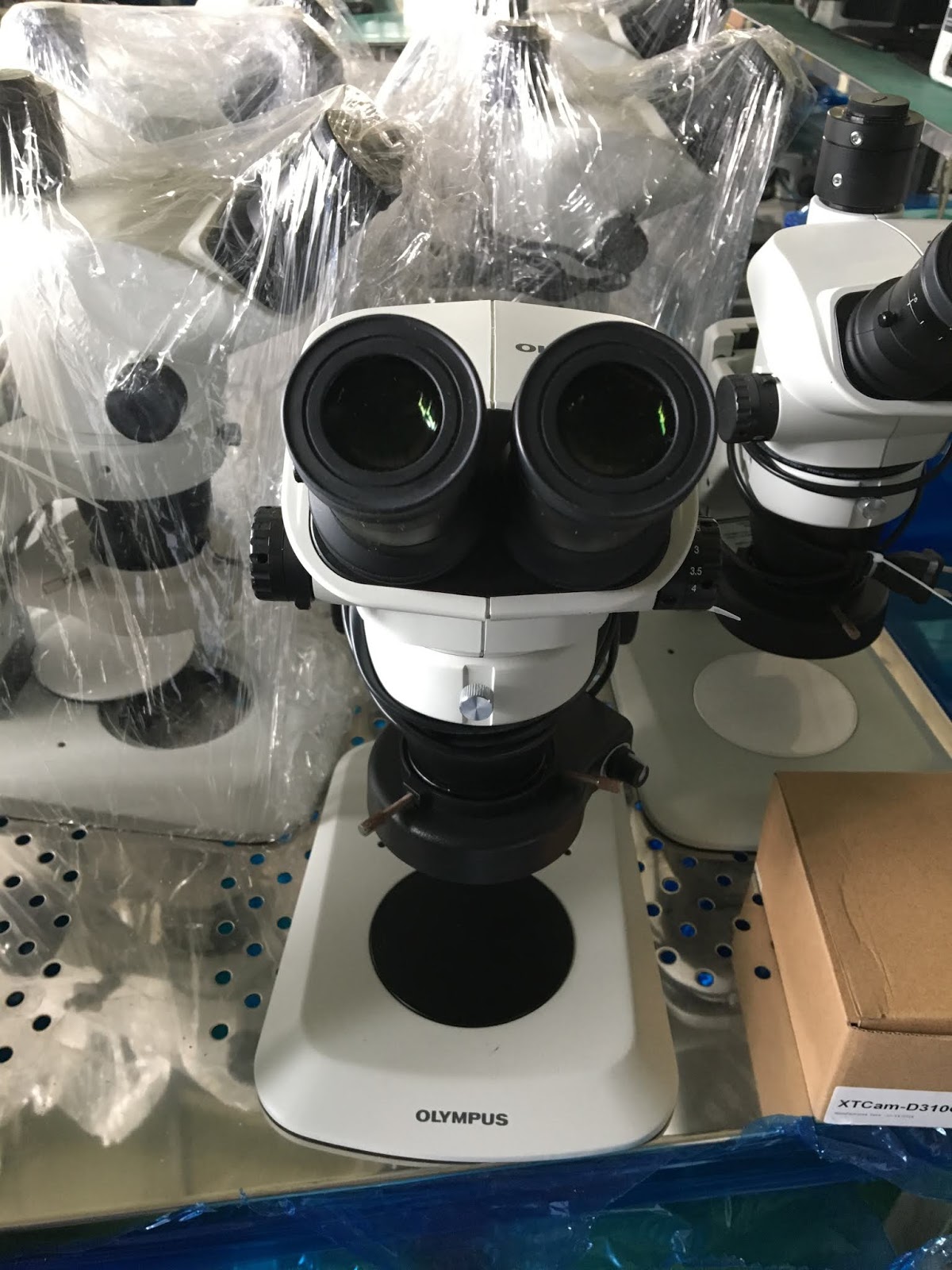 Stereo Microscopes