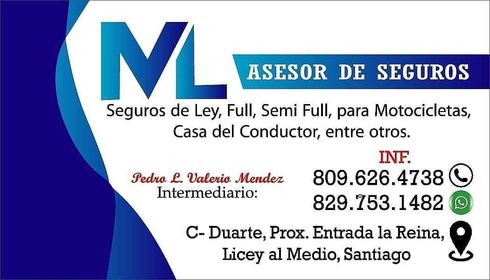 ML ASESOR DE SEGUROS