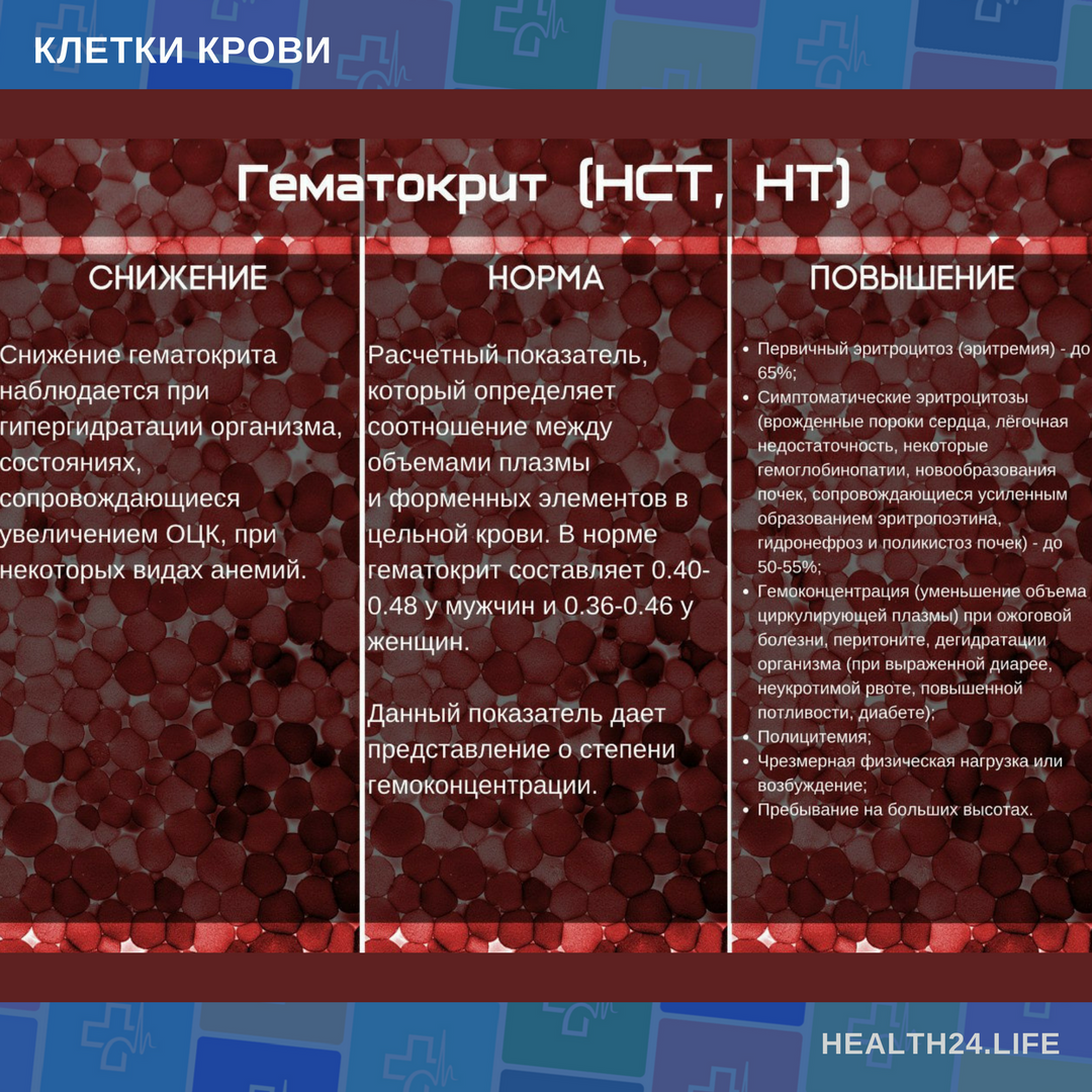 Диета при эритроцитоз в домашних условиях Диета при эритроцитоз в домашних условиях
