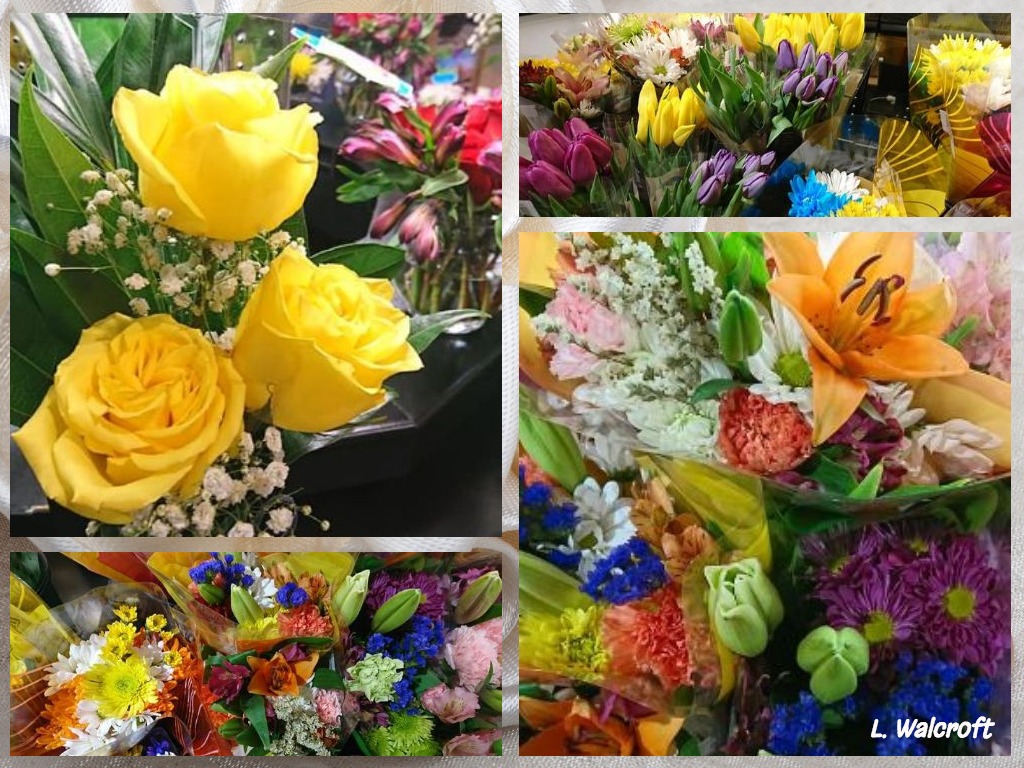 The View from Squirrel Ridge Metro, Flowers, and Cacapon.