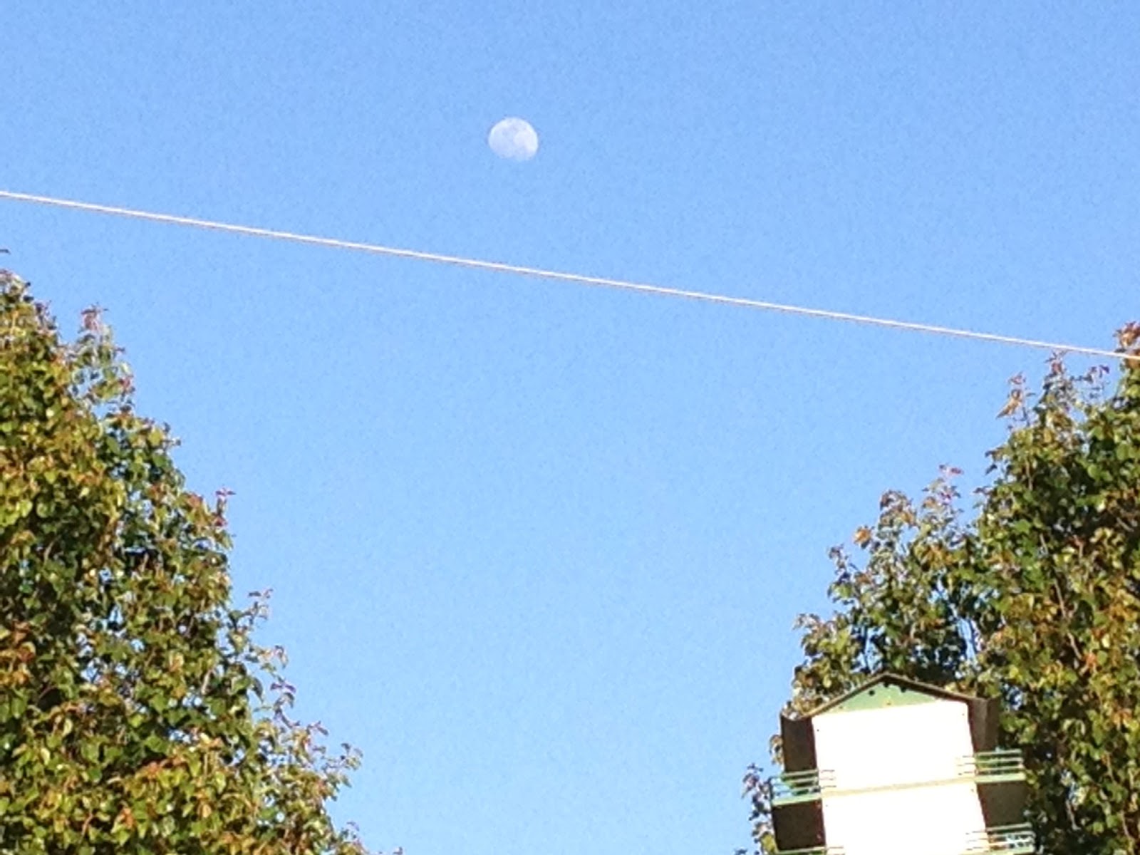 mornings-with-the-son