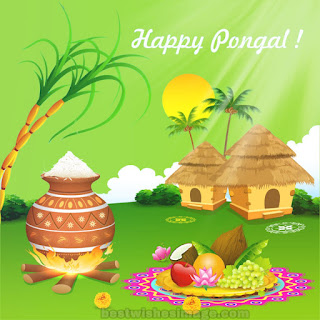 happy pongal quotes images free download in village