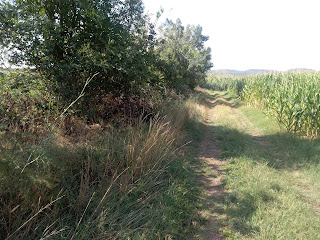 Milho no Tejo e Percursos