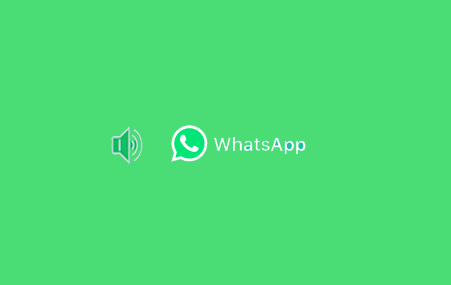 Cara Mengganti Nada Dering WhatsApp Android dan iOS/ iPhone