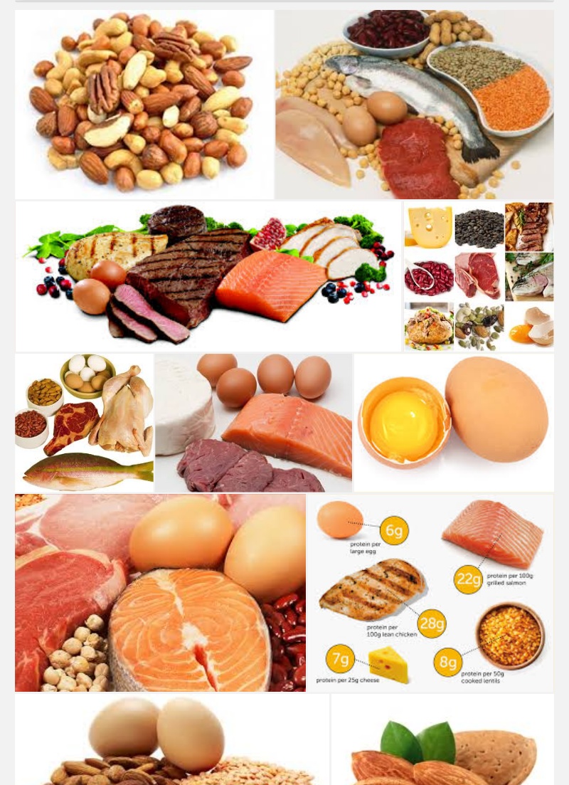High-protein diets increase kidney disease risk - HEALTHY AND LIVELY