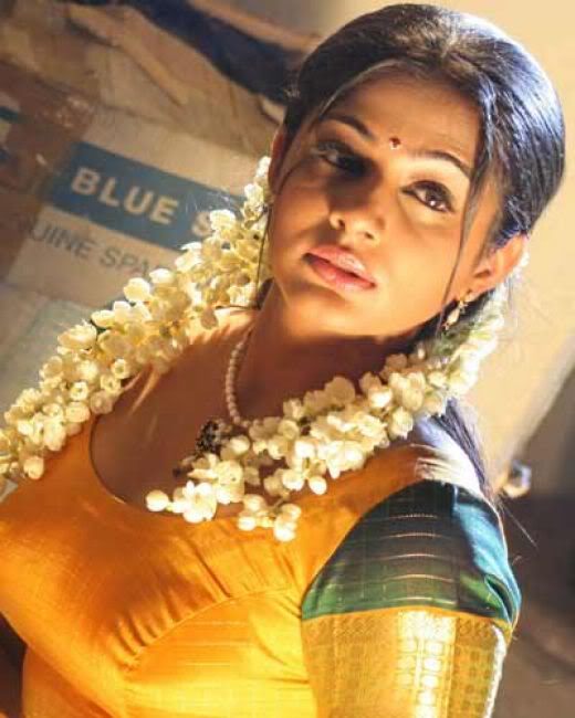 Actress Priyamani Hot Stills In Saree Priyamani Hot Stills All About Jobs Tollywood News