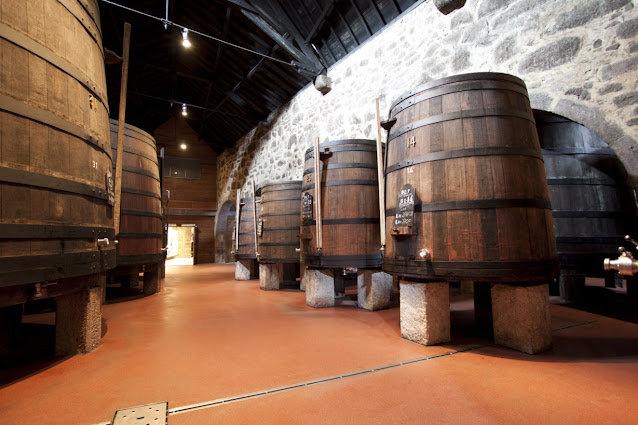 Visita guidata e degustazione nelle cantine Calem del vino Porto