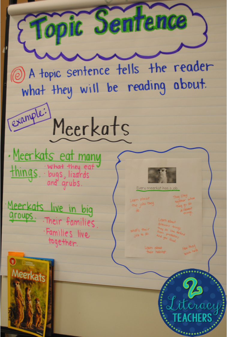 2 Literacy Teachers Topic Sentences And Owls 