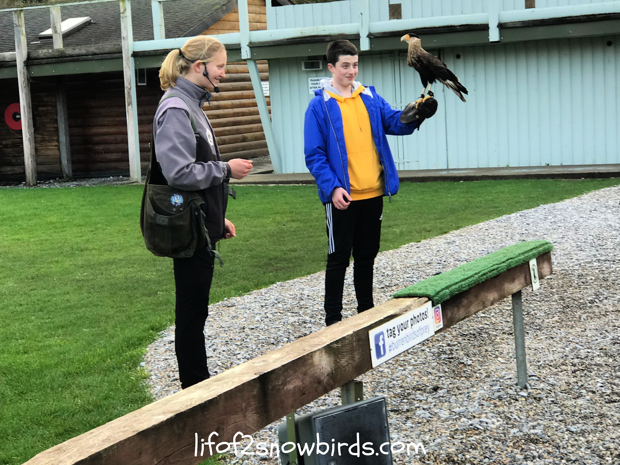 The Burren Birds of Prey Centre • Go to Ireland.com