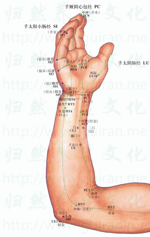 青靈穴位 | 青靈穴痛位置 - 穴道按摩經絡圖解 | Source:zhentuiyixue.com