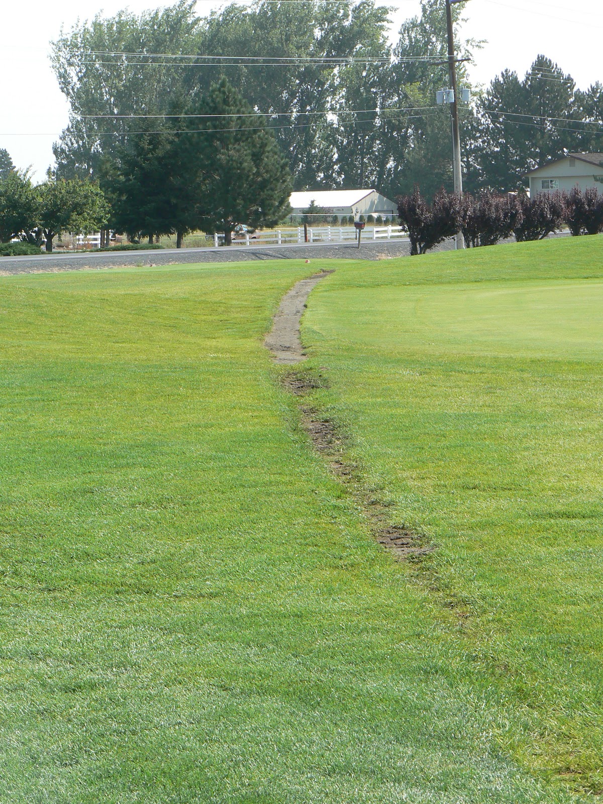 Two GolfersOne Pension Quincy Golf Course Aka Colockum Ridge