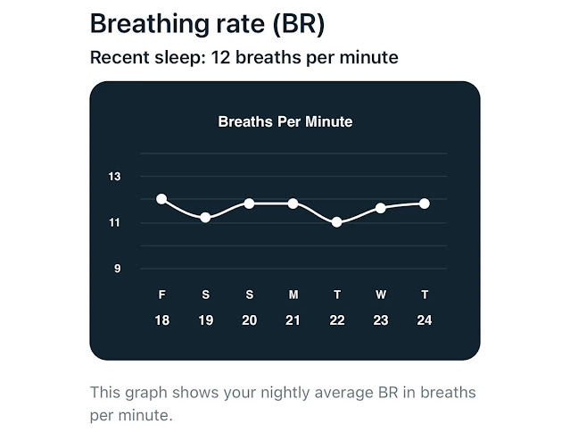 Fitbit Health And Fitness Scores And Stats Explained