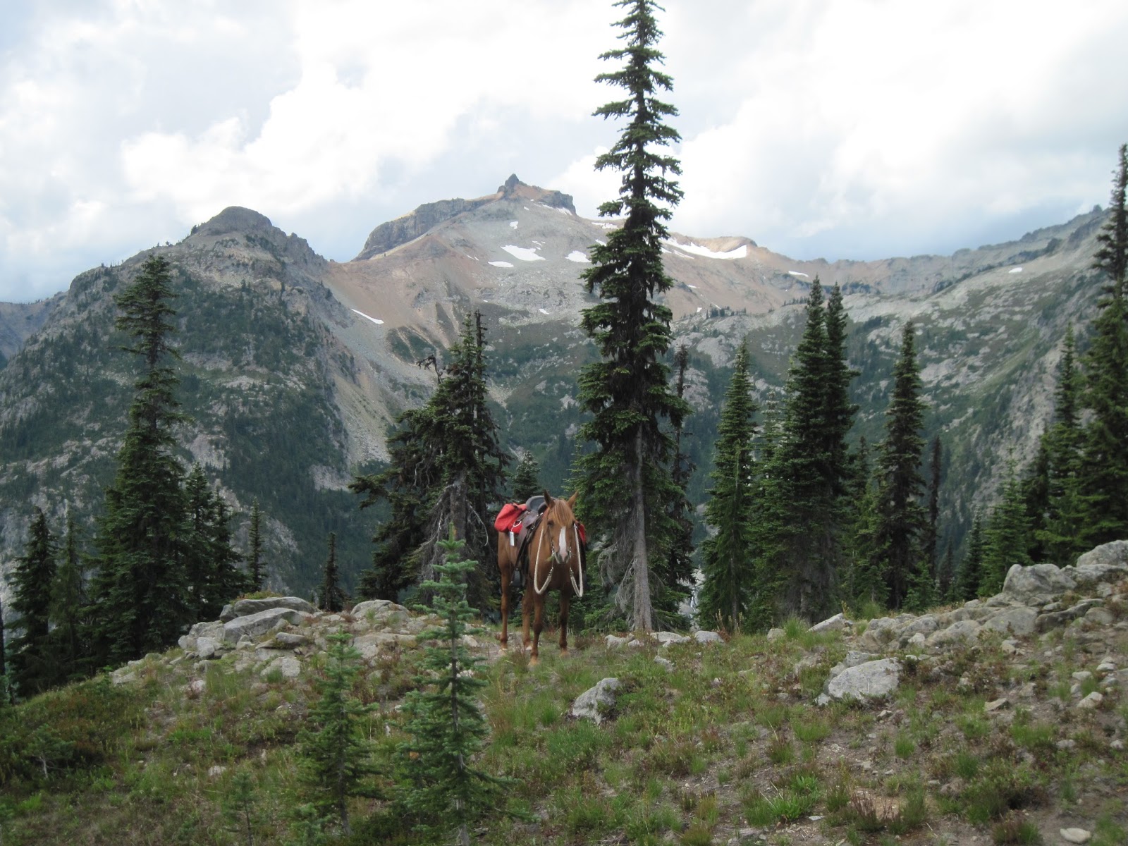 Holly's Horse Tales and Trails: Cayuse Horse Camp, Tucquala Meadows ...