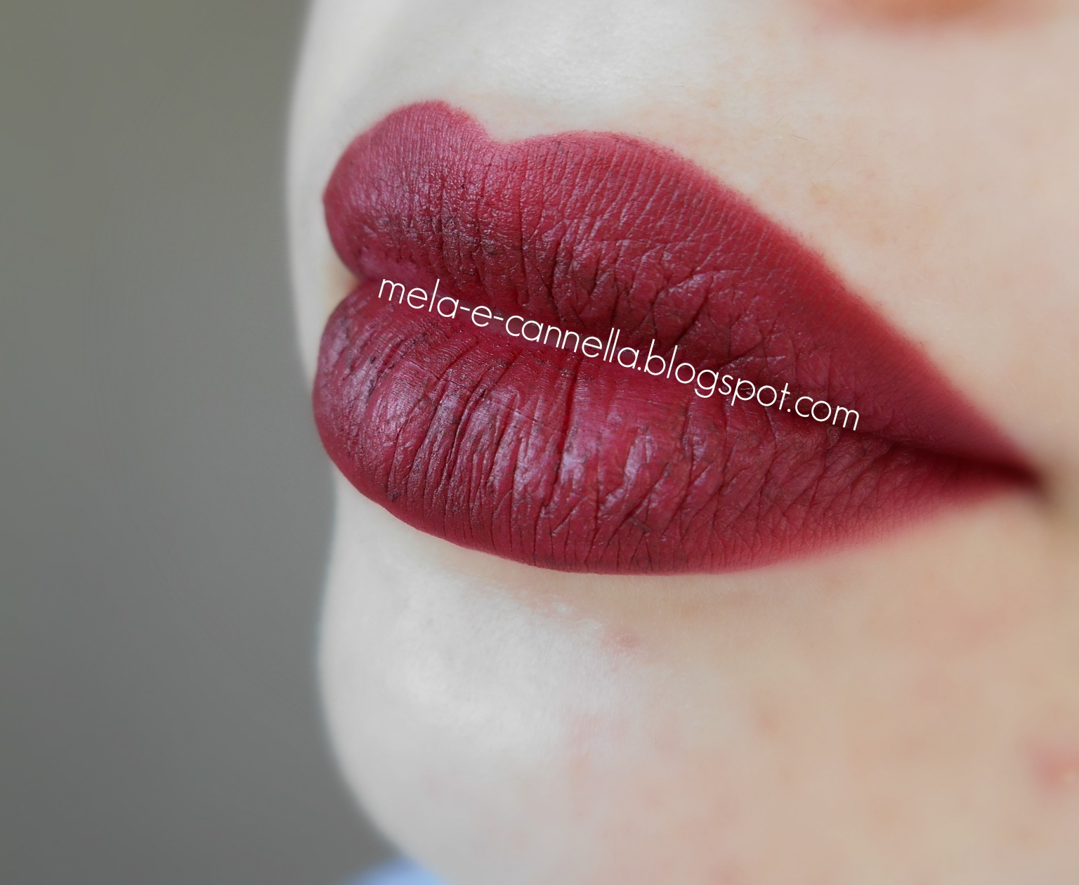melaecannella Farmasi lip pencil 219