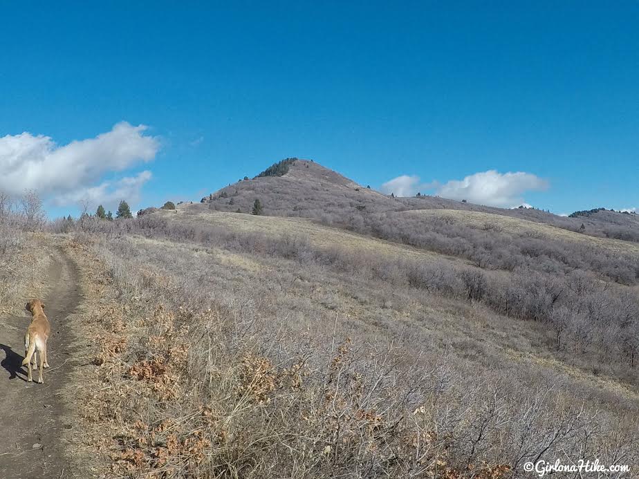 Hiking the Sardine Peak Loop, Snowbasin Girl on a Hike