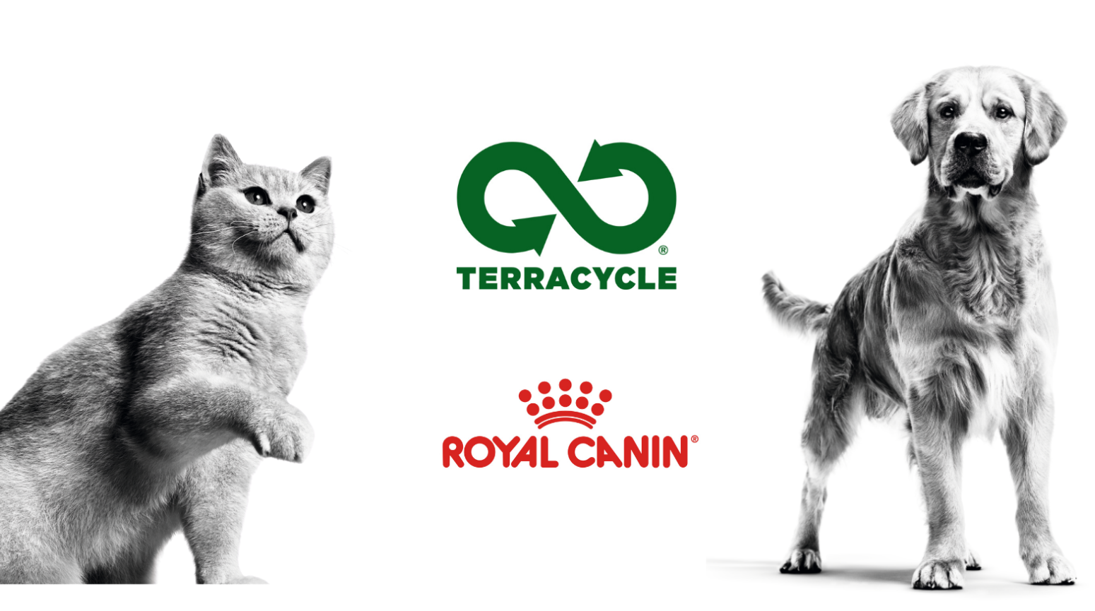 Royal Canin partners with TerraCycle to launch free pet food recycling program Australian Dog